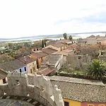 El Olivar Agloipe Extremadura Ahigal