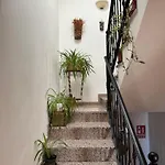 Apartamentos Mateo