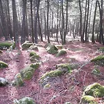 La Chova