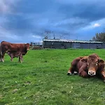 Refugio Finca El Canu