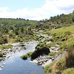 Cerezas Y Miel