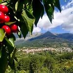 La Albarea