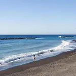 Live Puertito Paseo