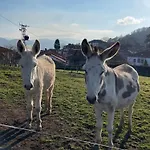 El Escondite De Torazo