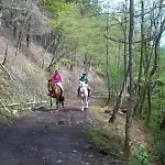 Muntteigoiko