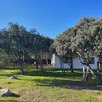 Anubha House