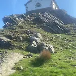Alberroakoborda