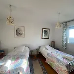 Agrovillaujue apartamentos rurales