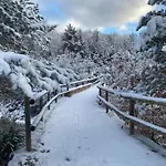 Cal Carol