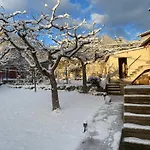 Cal Carol