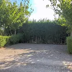 Camping Fayón Fishing
