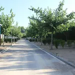 Camping Fayón Fishing