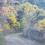 Casa Rural El Patio