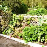 Vega Rural Garachico