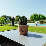 Os Migueliños
