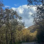 El Patio De Los Naranjos