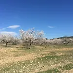 Apartamento Rural El Estrecho De Arguedas