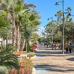 Hanami Avenida de España