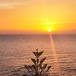 Estrella De Sal