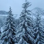 Hotel Sno Edelweiss