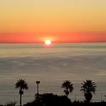 Una Vista Divina - Mil Palmeras