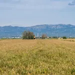 Deltaprego