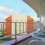 Acacios En La Concha