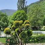 El Estudio De Buenavista