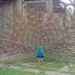 Mas El Soler De Terrades - Turisme Rural