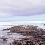 Live La Punta Columbus
