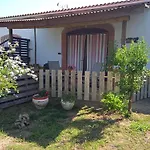 La Tierra Verde Studio