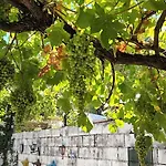 La Parra De Pepa