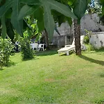 La Cruz Del Sur - \