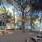 The Pineforest Cabin