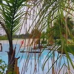 Kentia Golf Playa Granada