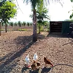 Casa Rural Finca las Tejoneras