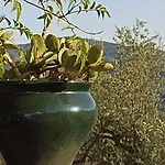 Casa Rural Con Encanto
