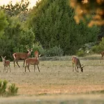 Casaguapa Alto Tajo