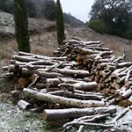 Bed And Breakfast Casanova De Sant Miquel