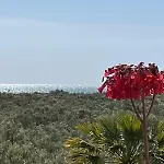 Primera Planta Dos Dormitorios Urb. Jardines De Isla Canela By Sit Isla Canela