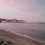 Alicante El Campello Dariodoris