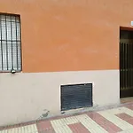 Alicante El Campello Dariodoris