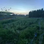 Finca El Cerro