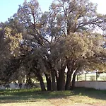 Agroturismo Calixto
