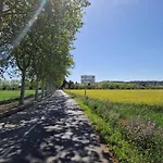 Can Bruguera De Fonteta