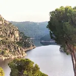 Camino Del Oso