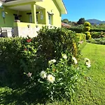 Casina Verde Manzana