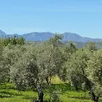 El Toro Blanco Luxury Villa In Andalucia