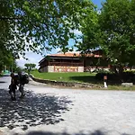 Alda Palas De Rei