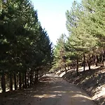 Hostal Rural Poqueira